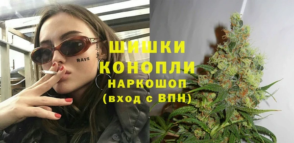 крисы Абаза