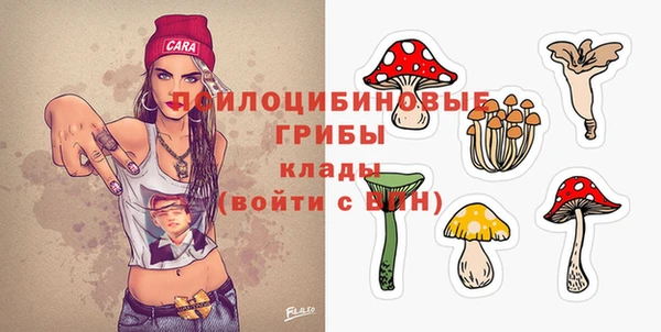 крисы Абаза