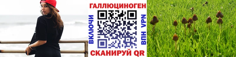 что такое наркотик  Алагир  Галлюциногенные грибы GOLDEN TEACHER 