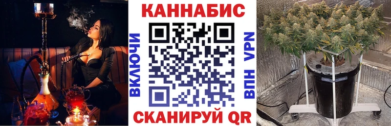 купить  сайты  Алагир  МАРИХУАНА тримм 